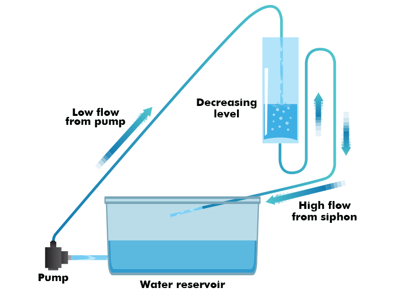 siphon5